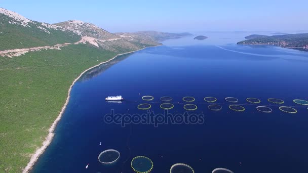 Fischfarm im dalmatinischen Meer — Stockvideo
