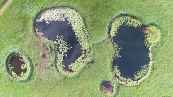 Lakes on grass meadow, Knin — Stock Video