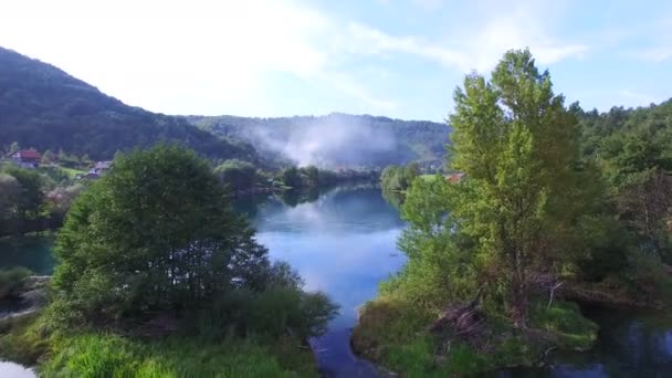 Wasser des Flusses una mit Bäumen — Stockvideo