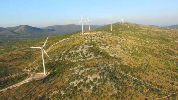 Wind turbines on green sunny hills — Stock Video