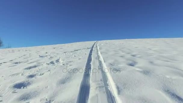 Лыжи в снегу в солнечный день — стоковое видео