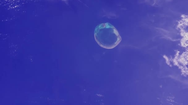 地球和岛屿的空间 — 图库视频影像