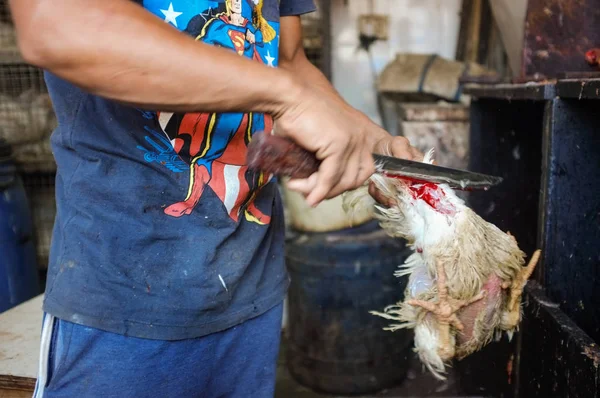 Street salesman slaughtering chicken at meat stand. — Stock Photo, Image