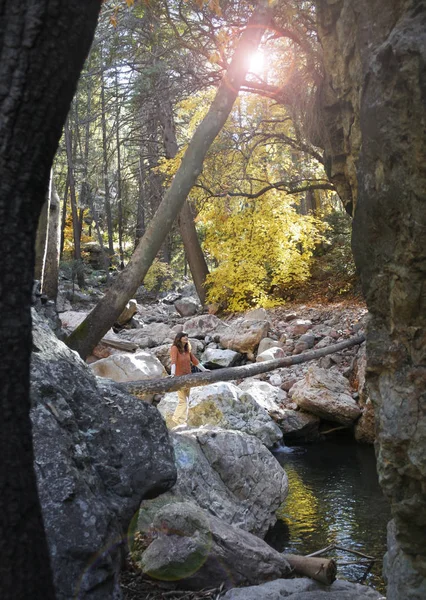 A Woman Stands by a Creek in the Fall — Stock Photo, Image