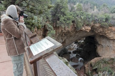 Bir kadın fotoğrafları çam Kanyon ve Tonto doğal köprü