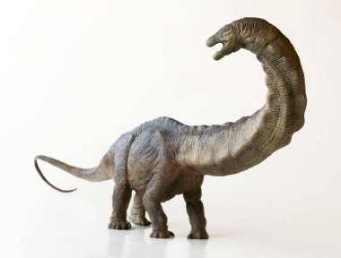 Bir uzun boylu Apatosaurus dinozor veya aldatıcı kertenkele