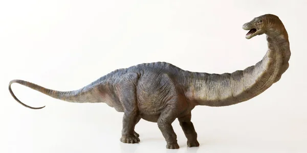 Bir uzun boylu Apatosaurus dinozor veya aldatıcı kertenkele