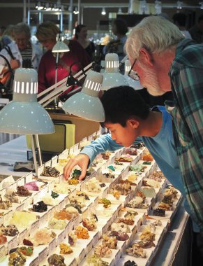 Bir çocuk ve onun dedesi mağazası Tucson Gem ve Mineral Sho