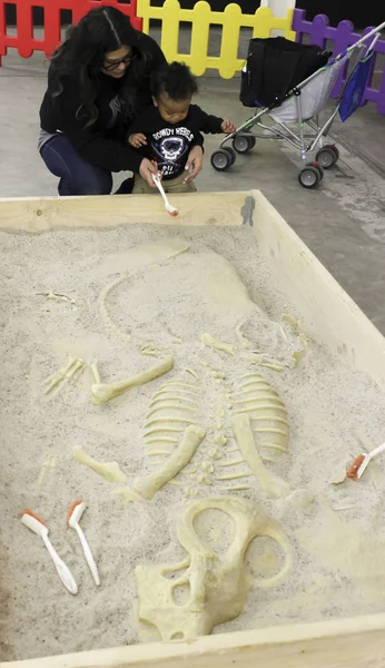 A Mother and Son Dig Fossils at T-Rex Planet, Tucson Expo Center — Stock Photo, Image