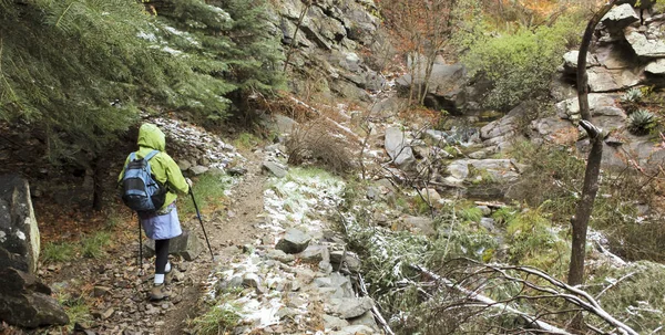 一个女人徒步穿越郁郁葱葱峡谷 — 图库照片