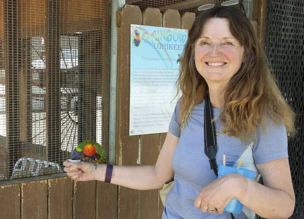 Ein Lorikeet-Wald, Cogburn Ostrich Ranch, Picacho, Arizo — Stockfoto