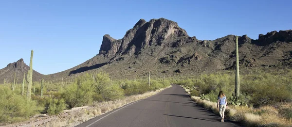 Una mujer camina por un camino en el Parque Estatal Picacho Peak, Arizona — Foto de Stock