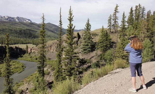 Una mujer dispara fotos en el circuito alpino Backcountry Byway —  Fotos de Stock