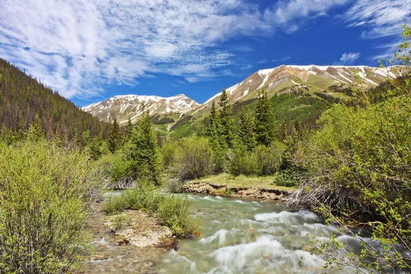 A Rushing Lake Fork of the Gunnison River at Grizzly Gulch — Stock Photo, Image