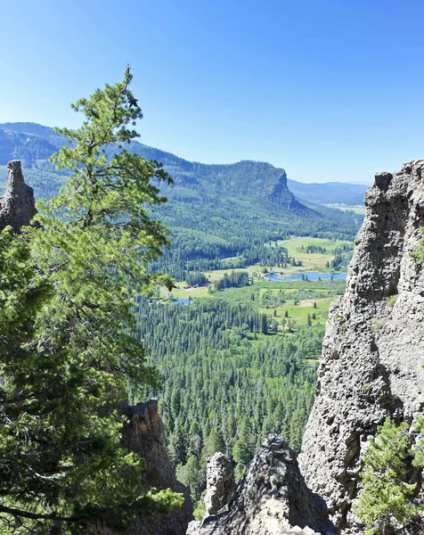 Una vista panorámica desde el West Fork Valley Overlook en Colorado —  Fotos de Stock