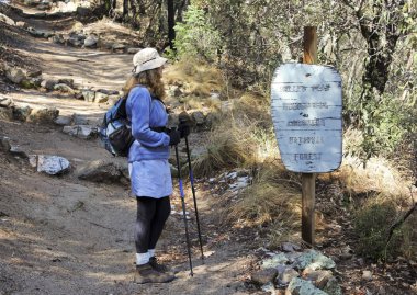Bir kadın Miller tepe vahşi doğada yürüyüş