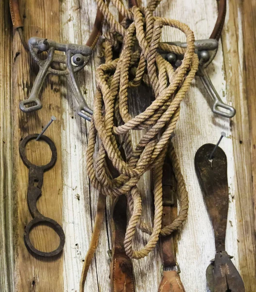 A Rustic Tack Room Wall Full of Vintage Horse Tack — Stock Photo, Image