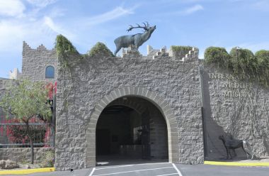 Uluslararası yabani hayvanlar ve bitkiler Müzesi, Tucson, Arizon giriş