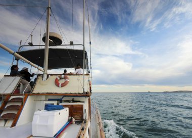Bir Cruise Aboard Hattie Annie San Carlos Bay, Guaymas, Sonora,