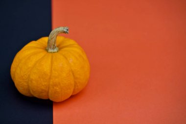 Cadılar Bayramı Balkabağı tatil partisi 