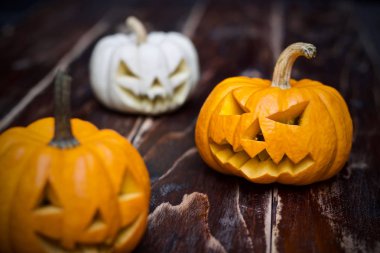 Cadılar Bayramı Balkabağı tatil partisi 