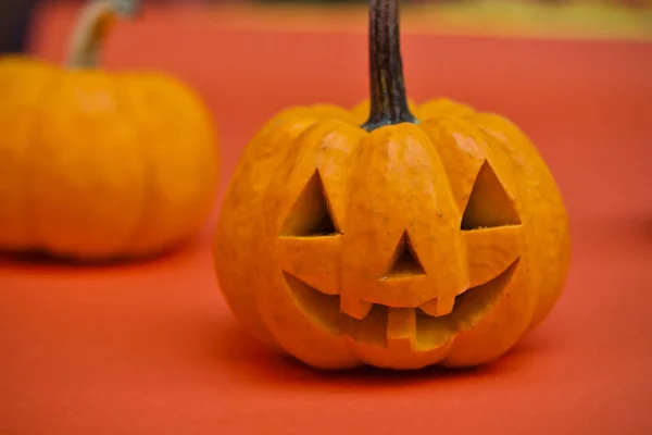 Halloween pumpa semester part — Stockfoto