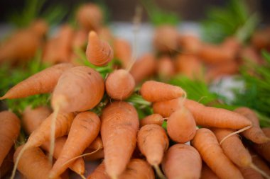 Sabahları evden çalışmak ve sıcak kahve fincanı. 
