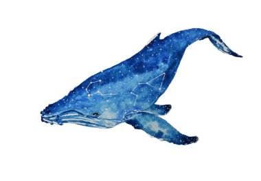 Space whale watercolor clipart
