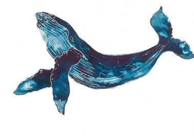 Whale ink sketch clipart