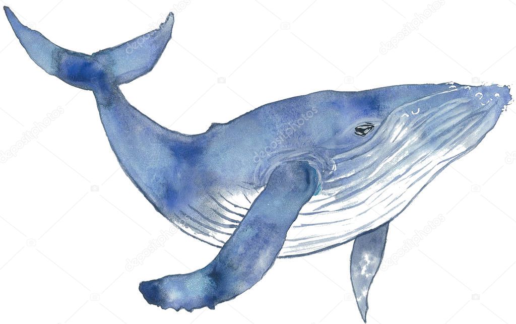 Blue watercolor whale print