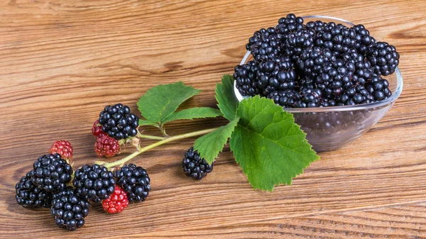 Amoras em taça de vidro. Ramo de Bramble e folhas verdes. Rubus. — Fotografia de Stock