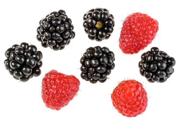 Group of delicious juicy blackberries and raspberries — Stock Photo, Image