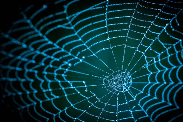 Detalle de telaraña espeluznante sobre un fondo oscuro nocturno — Foto de Stock