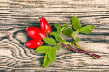 Dekoratif yeşil yaprakları ile taze kuşburnu