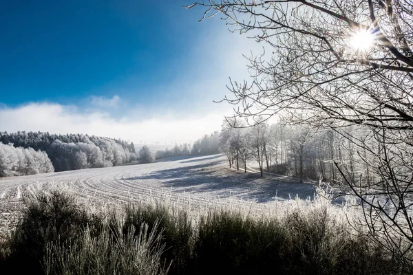 Идиллическая зимняя сцена под солнцем — стоковое фото