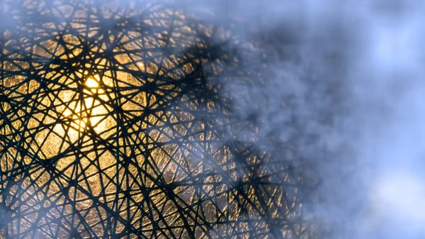 Detalle de red enredada de fibras negras con brillo misterioso en niebla azul — Foto de Stock