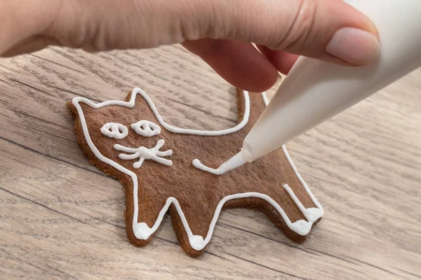 砂糖のフロスティングとアイシング バッグを使用して手の絵画の甘い猫 — ストック写真