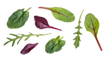 Yaprak roka, kırmızı pancar, ıspanak ve pazı