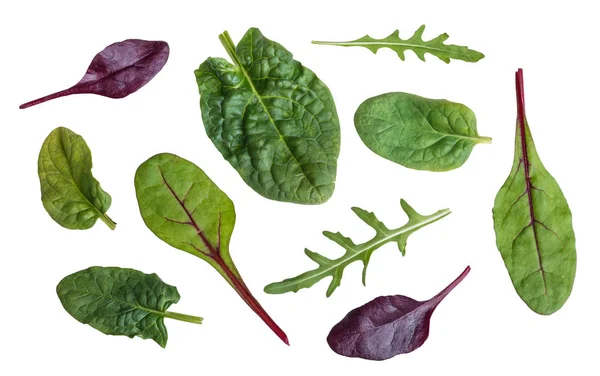 Yaprak ıspanak, pazı, kırmızı pancar ve rucola