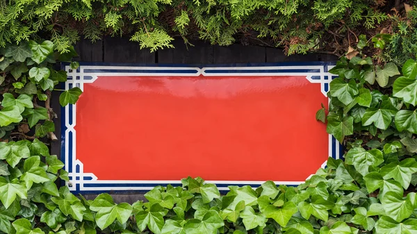 Red rectangular metal sign board bordered by leaves of common ivy and thuja. Hedera helix — Stock Photo, Image