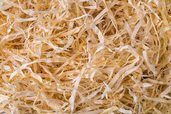 Abstract wood shavings background. Wooden sawdust in texture detail. Closeup of long thin strips of woodworking waste tangled on pile. By-product of planing, milling or drilling. Carpentry or joinery.