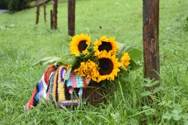 Ayçiçeği ve halı ile sepeti