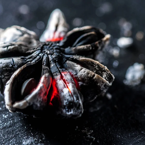 Makro tarçın siyah bir arka plan üzerinde yanmış.