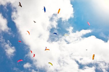 Himalayalar-Everest bölgesinin mavi gökyüzüne karşı uçan paraglider, Nepal.