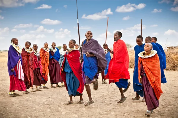 Tanzania Africa February 2014 Masai Warriors Dancing Traditional Jumps Cultural — Stock Photo, Image