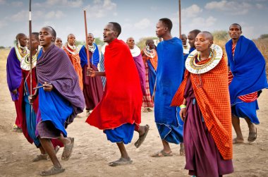 Tanzanya, Afrika-Şubat 9, 2014: kültürel töreni, 9 Şubat 2014 üzerinde yerel halkın günlük yaşamın inceleme olarak geleneksel atlar dans Masai savaşçıları. Tanzanya.