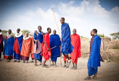 Tanzanya, Afrika-Şubat 9, 2014: kültürel töreni, 9 Şubat 2014 üzerinde yerel halkın günlük yaşamın inceleme olarak geleneksel atlar dans Masai savaşçıları. Tanzanya.