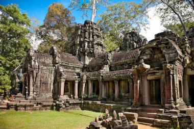 Siem Reap, Kamboçya yakınındaki Prasat Ta Prum ya da Ta Prohm tapınak kompleksi.