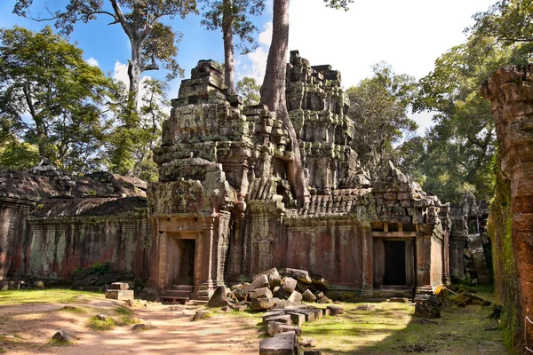 Prasat Prum Vagy Prohm Templom Komplexum Közelében Siem Reap Kambodzsa — Stock Fotó