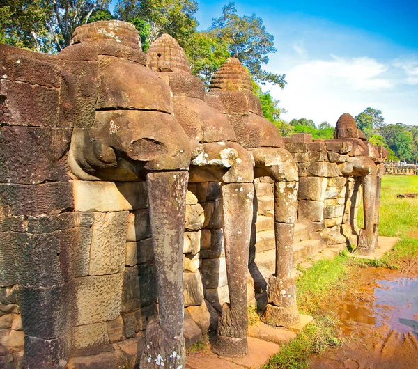Terasa Slonů Angkor Thom Nedaleko Siem Reap Kambodža — Stock fotografie